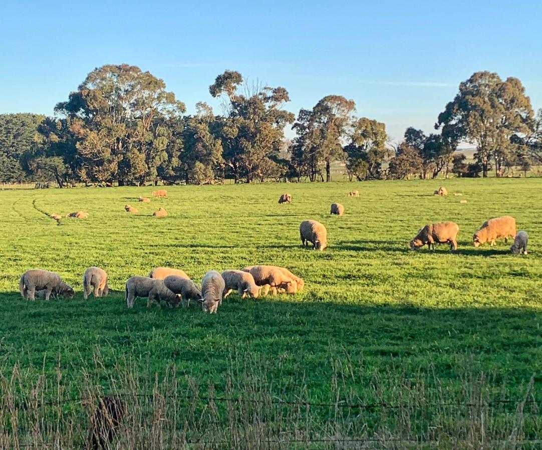 The Lancefield Lodge Lance Field Экстерьер фото